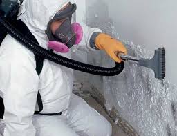 Best Real Estate Mold Inspection  in Brevard, NC